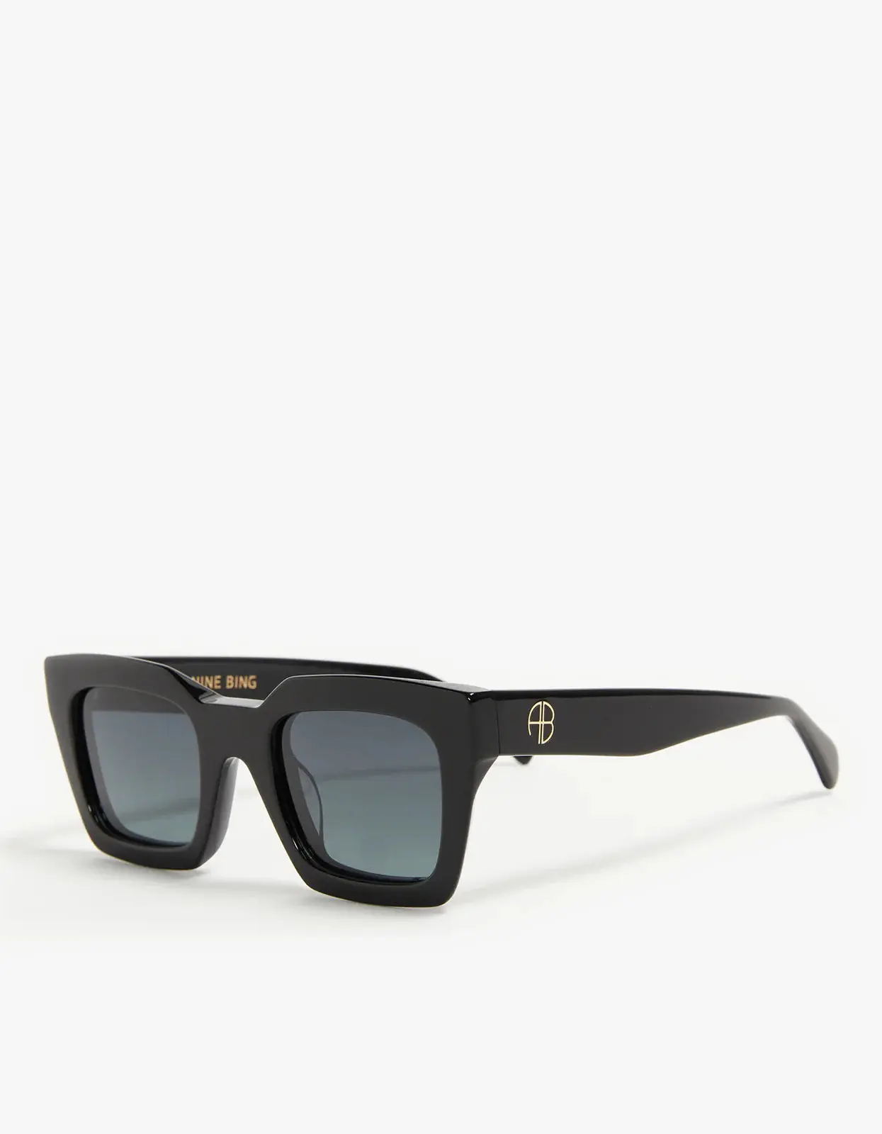 Indio Sunglasses in Black - Image 3